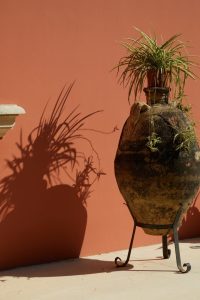 Petra Country House presenta il calendario eventi 2025: cultura, benessere e autenticità nel cuore del Salento