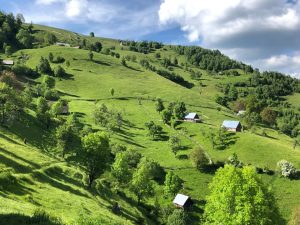 Perspectivele turismului