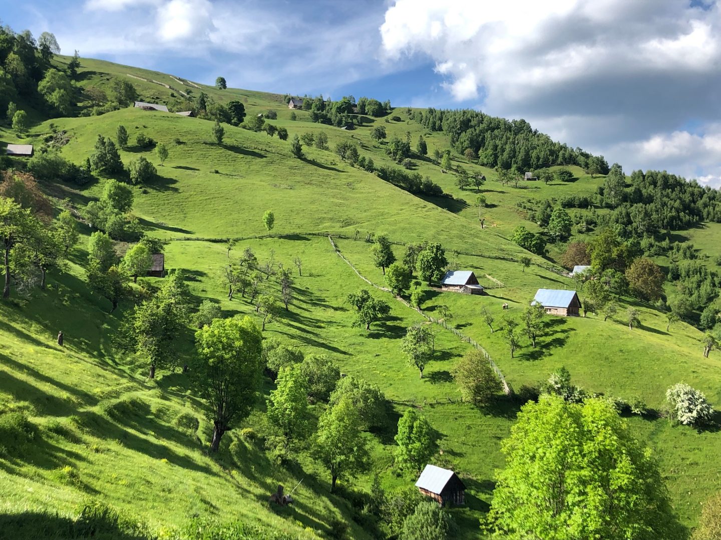 Perspectivele turismului