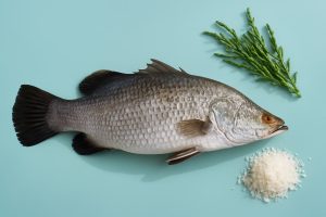 Biban de mare australian – peștele crescut într-un ecosistem curat, cu sare adusă din inima Mării Roșii